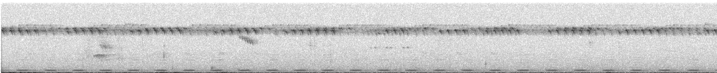 Fleckenbartvogel - ML527016141