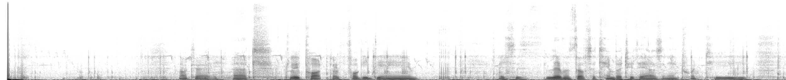 hvitpannehonningeter - ML527016321
