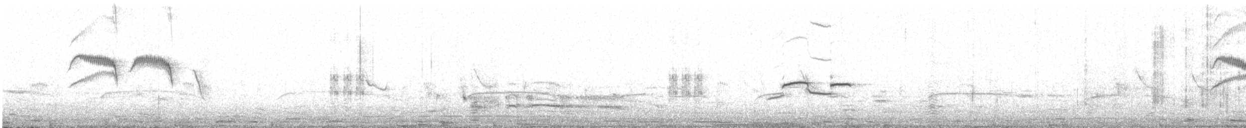 クロヒタキ - ML527027931