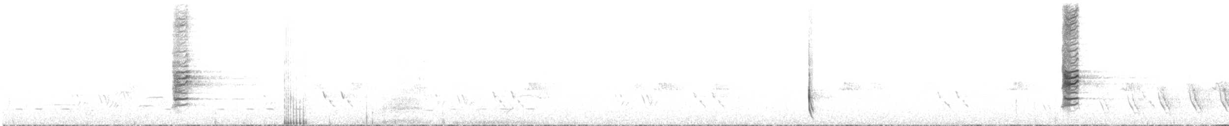 White-fronted Honeyeater - ML527031701