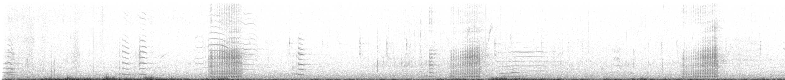 Американская лысуха (Red-shielded) - ML527033941