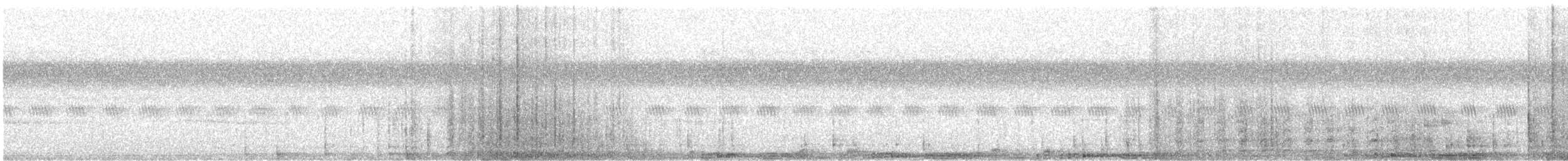 holub skalní (domácí) - ML527061301