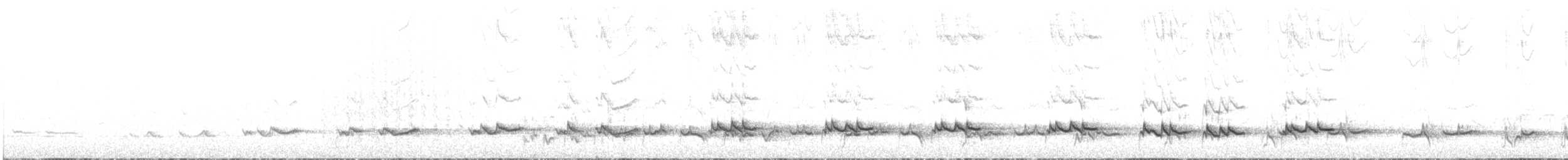 Méliphage lancéolé - ML527087461