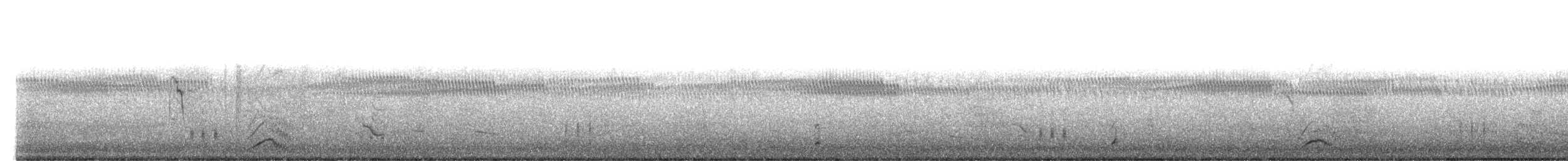 Spotless Crake - ML527094051