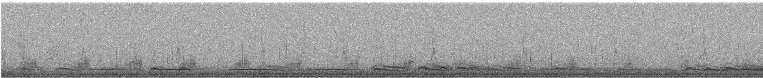 amerikakråke - ML527118661