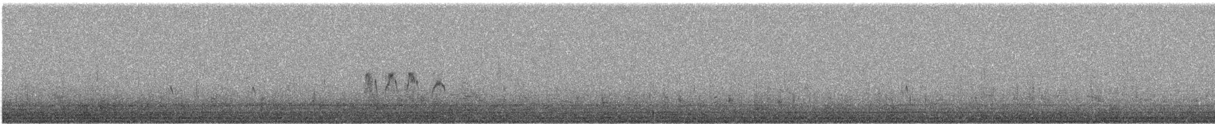 שחפית שחורת-אוזן - ML527118861