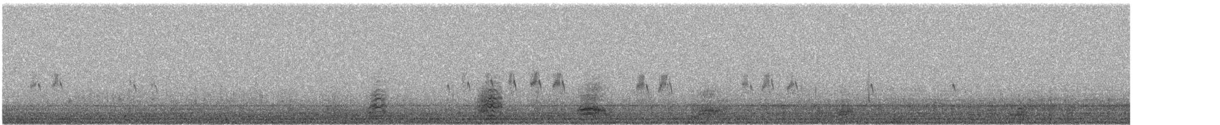 herodiashegre (herodias gr.) - ML527118941