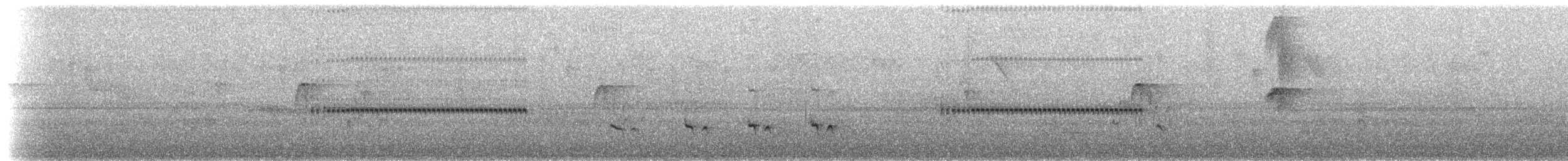 Stripe-chested Antwren - ML527135931