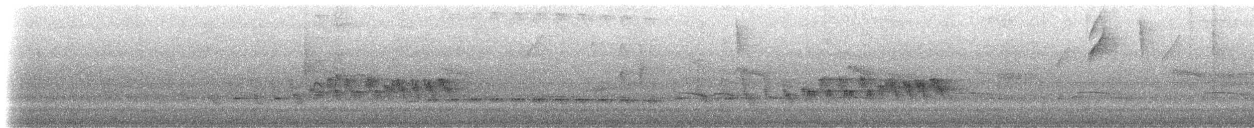 Western Fire-eye (maura Group) - ML527137581