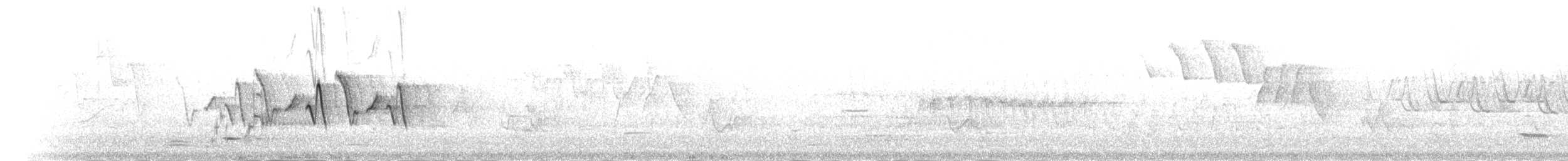 Common Yellowthroat - ML527195