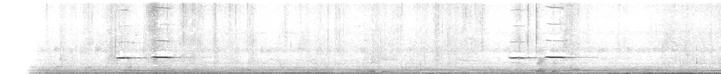 Striped Cuckoo - ML527199451