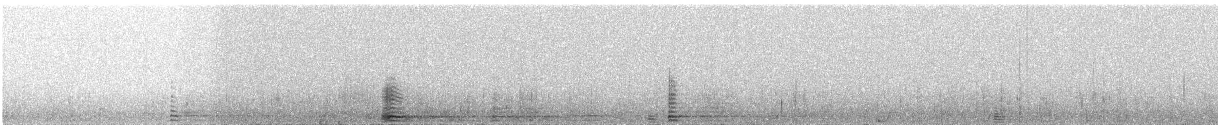Cisne Trompetero - ML527216071