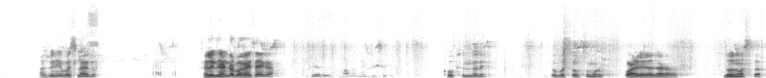Cotorra Alejandrina - ML52723241