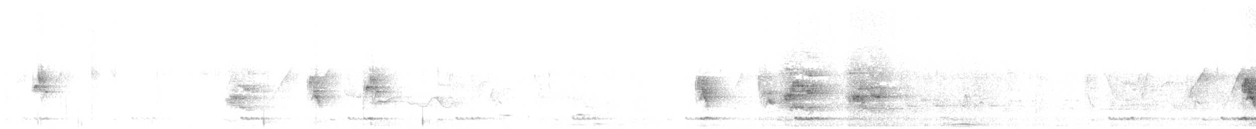Cotorra Alejandrina - ML52723251