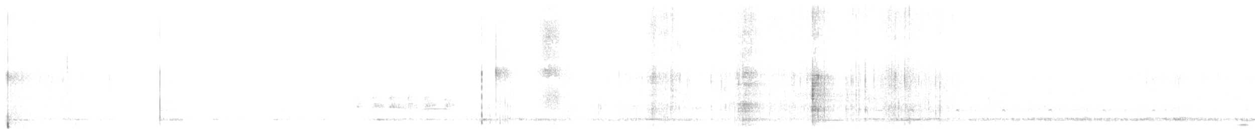 Бородастик цейлонський - ML52723791