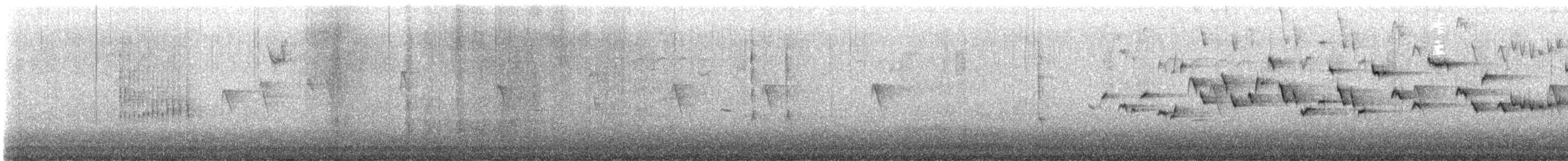 Chochín Hiemal - ML527244131