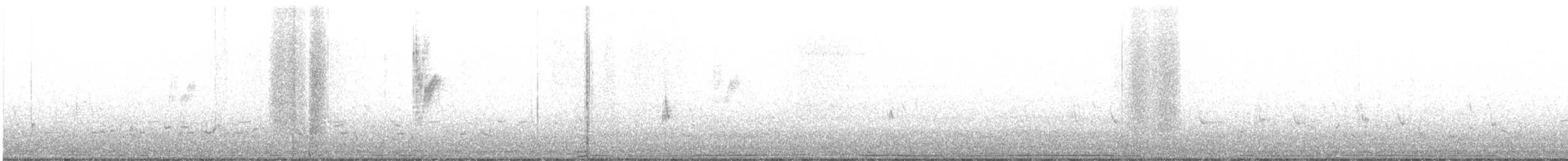 Атласная нектарница - ML527264001