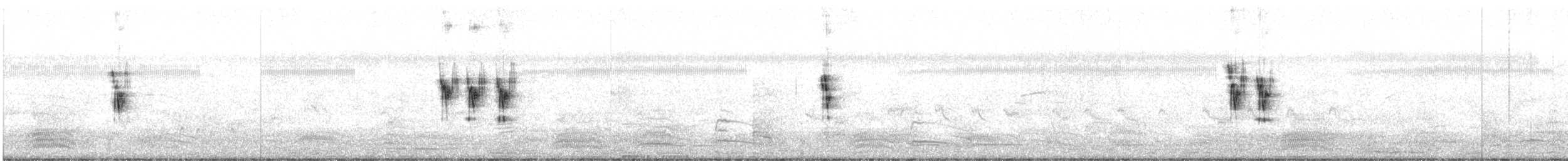 Paddyfield Pipit - ML527310661
