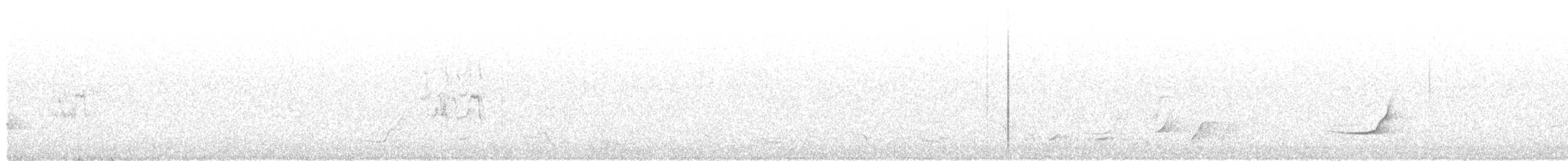 Сорокопутовый свистун - ML527318281