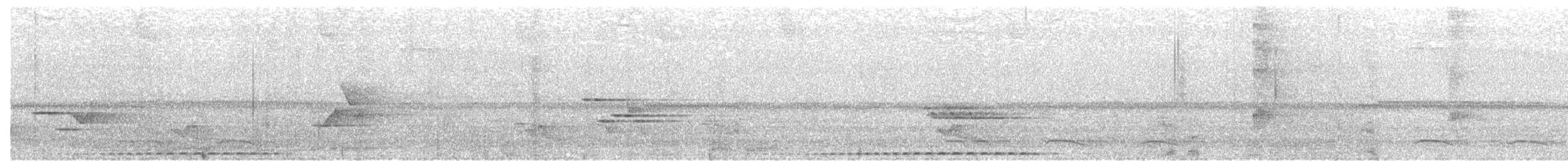 Scaled Antpitta - ML527323751