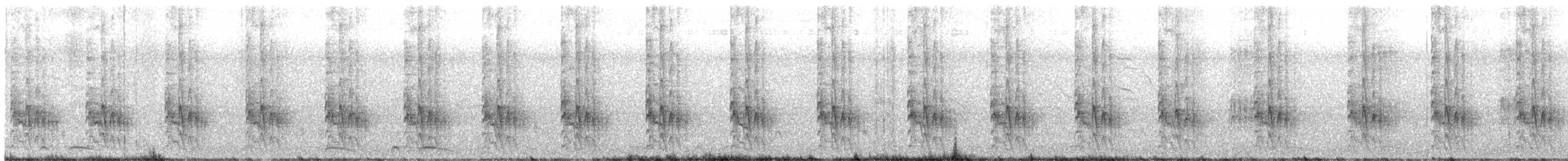 ノドジロハチマキヒタキモドキ - ML527324771