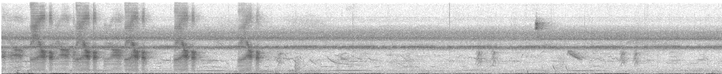 Black-tailed Tityra - ML527335161