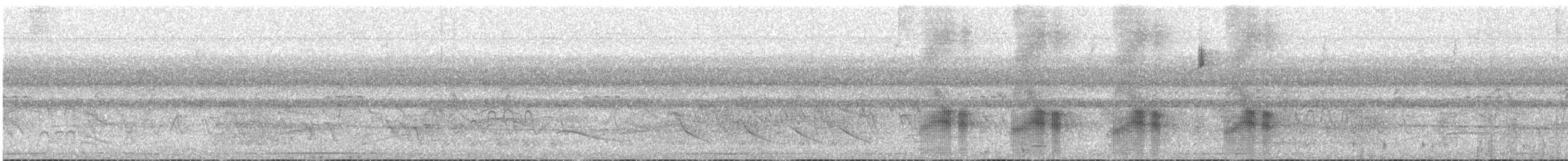 Black-tailed Tityra - ML527335181