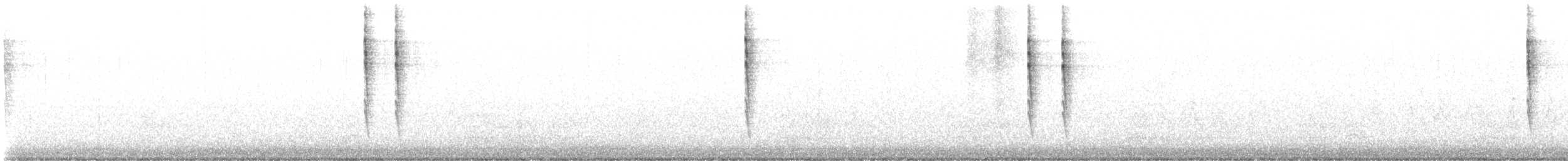 Pacific Wren - ML527340151