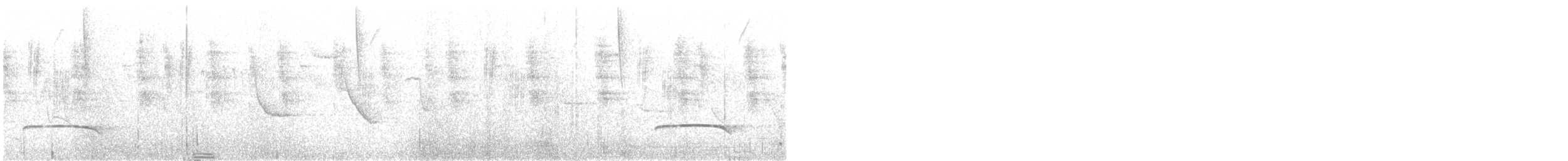 Пестрогорлая гевара - ML527398681