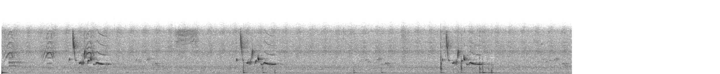 White-bellied Wren - ML527403561