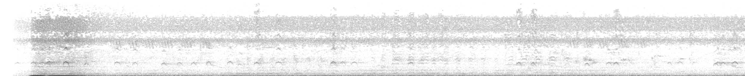 Sarcelle des Andaman - ML527424601