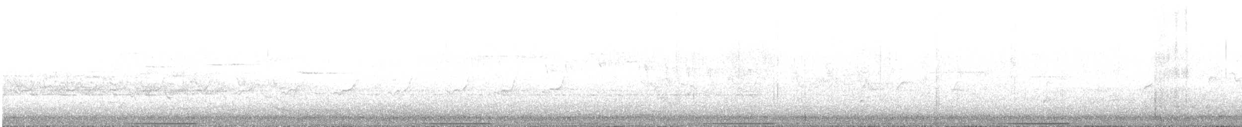 holub bronzovokřídlý - ML527459311