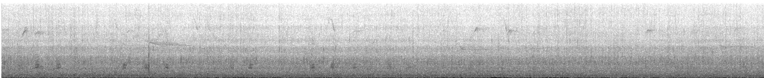 Крижень звичайний - ML52757401