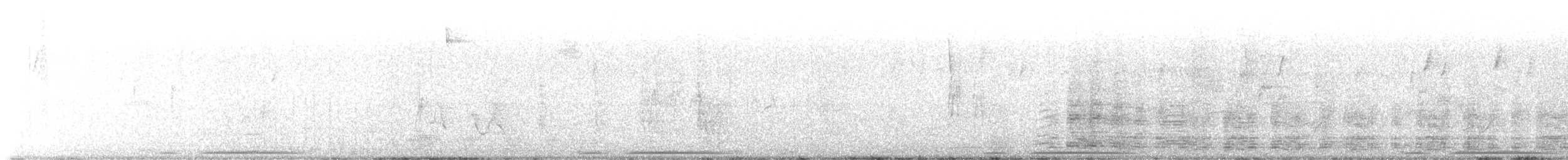 Eurasian Collared-Dove - ML527580571