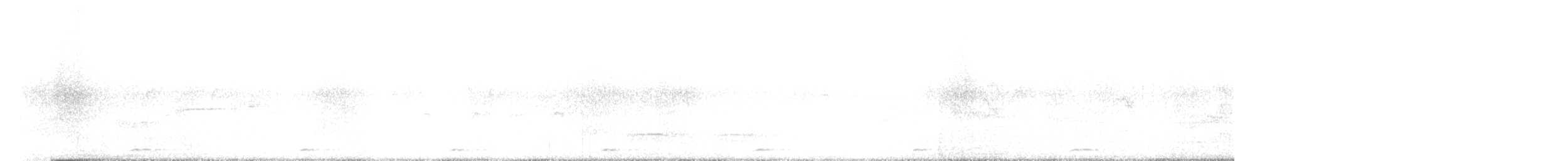 Coppersmith Barbet - ML527589891