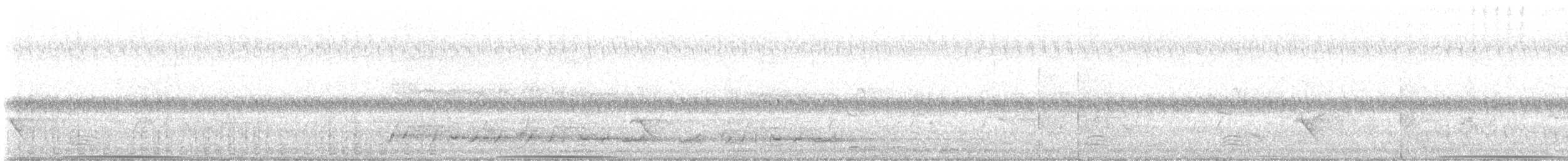 holub bronzovokřídlý - ML527624951
