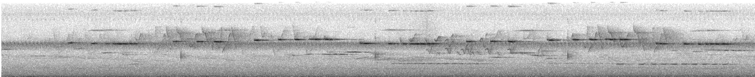 Élachure tachetée - ML527669401