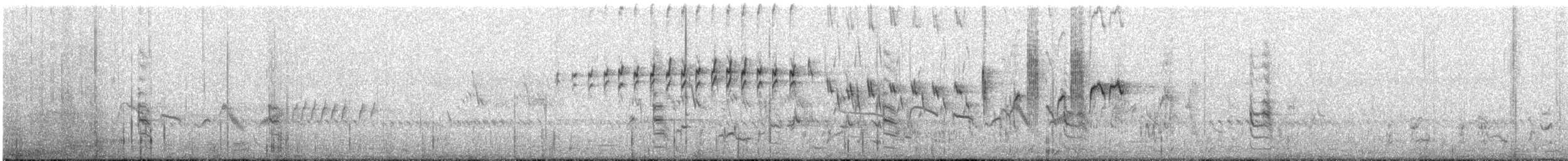 Yerbera Coliancha - ML527671981