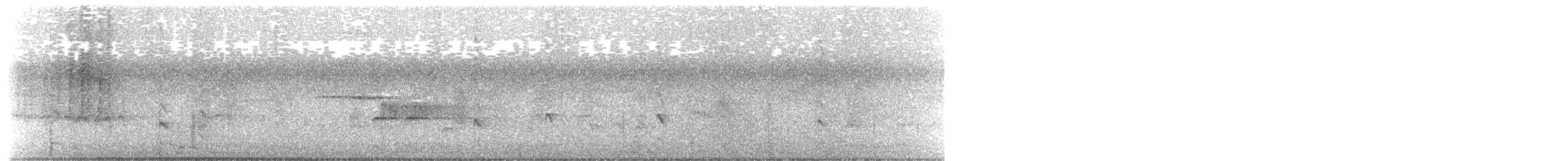 Gray-bellied Tesia - ML527697291