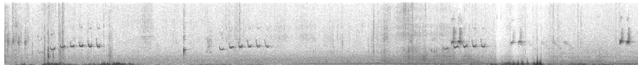 Weißbrust-Dickichtschlüpfer - ML527725701