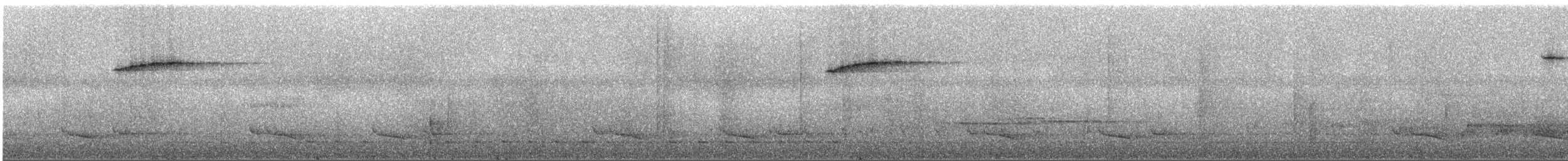 Синьодзьоб заїрський - ML527792801