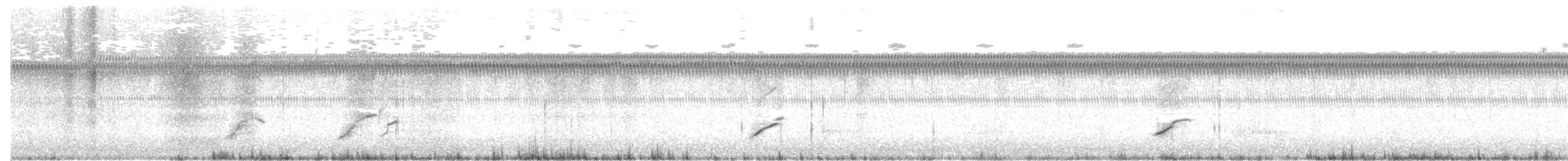 Goldregenpfeifer/Prärie-/Tundra-Goldregenpfeifer - ML52781471