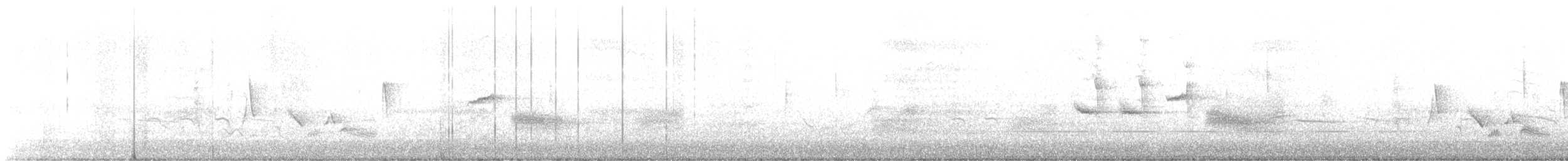 White-eyed Vireo - ML527833831