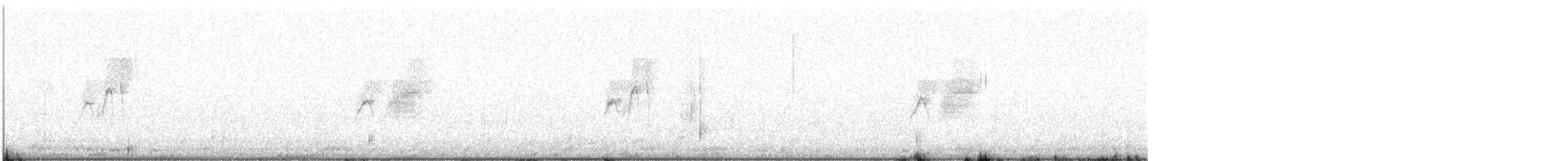 Светлобрюхий фиби - ML527836601