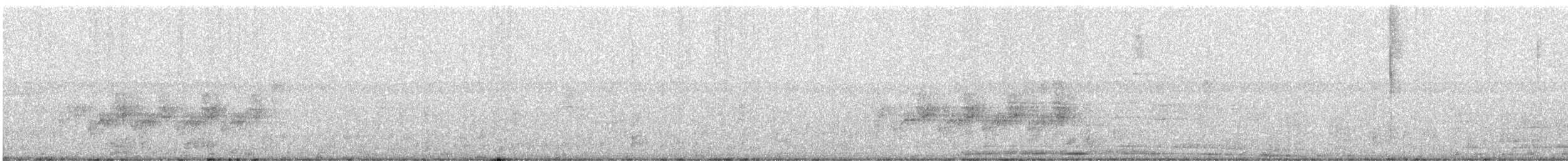 Поплітник каролінський - ML527841981