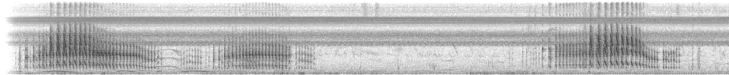 Желтогорлая пищуховая иглохвостка - ML527856401