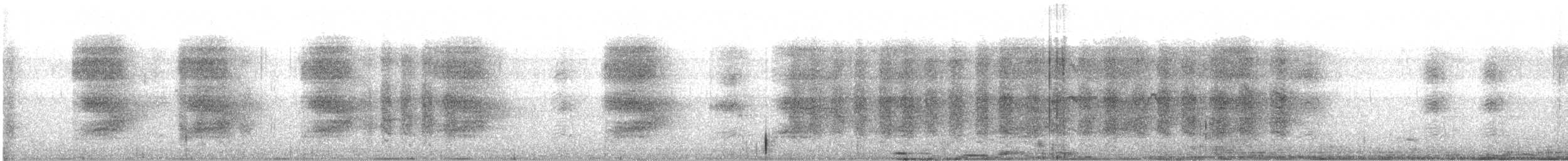 Geai de Steller (groupe coronata) - ML527891191
