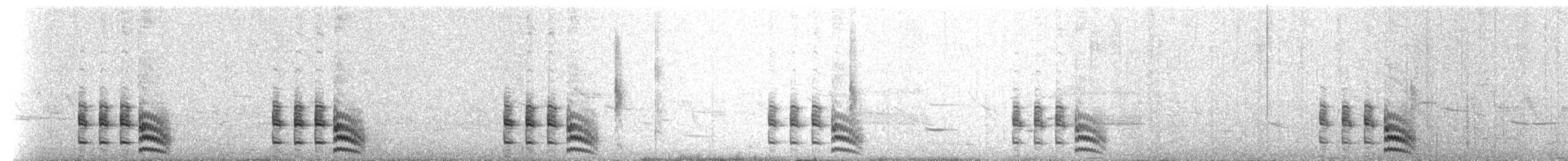 Schieferralle (jamaicensis/coturniculus) - ML527908