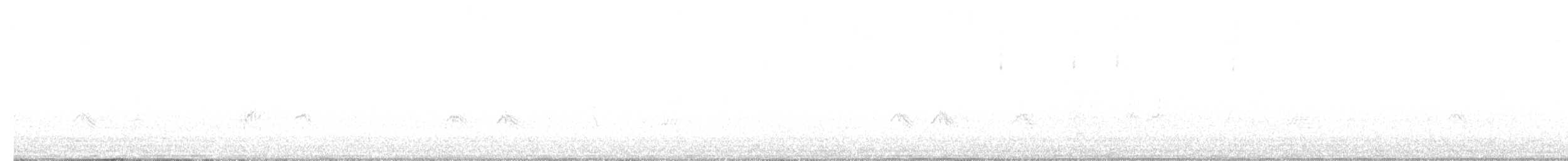 עב-מקור ערב - ML527935171