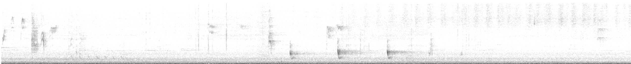 White-eared Honeyeater - ML527938051